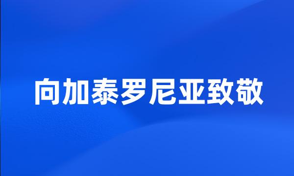 向加泰罗尼亚致敬