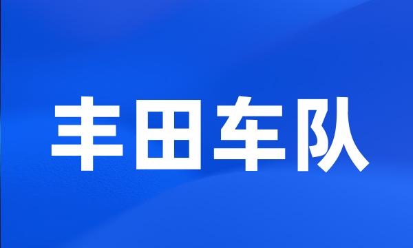 丰田车队