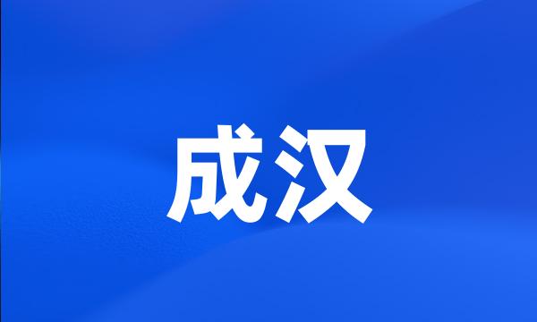 成汉