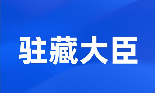 驻藏大臣