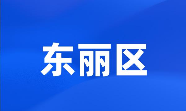 东丽区