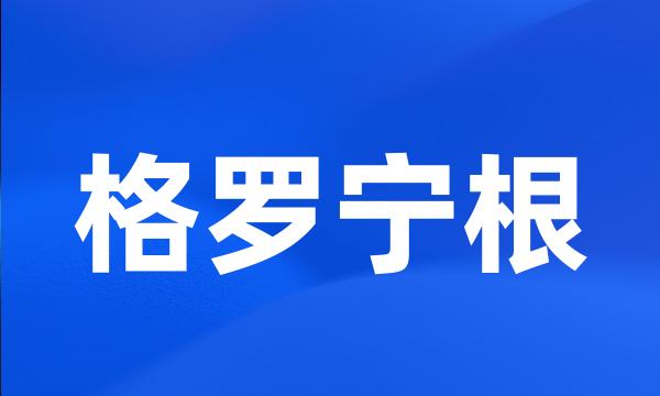 格罗宁根