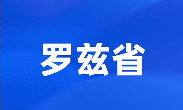 罗兹省