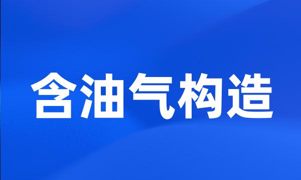 含油气构造