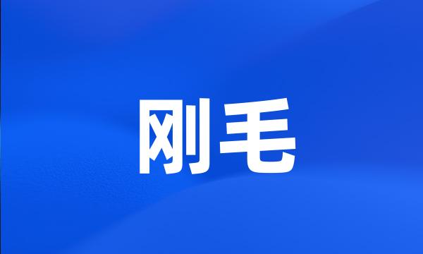 刚毛