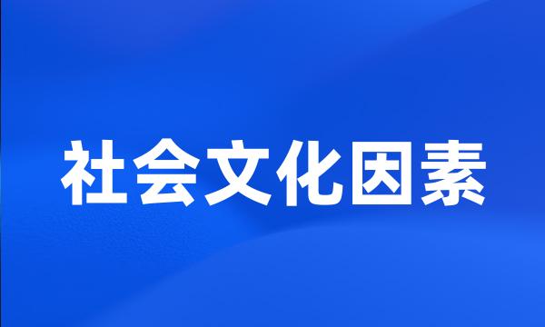 社会文化因素