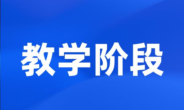 教学阶段