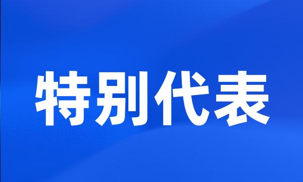 特别代表