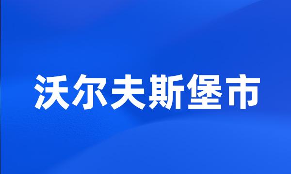 沃尔夫斯堡市