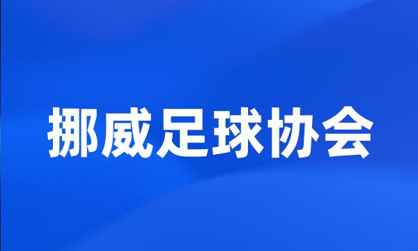 挪威足球协会