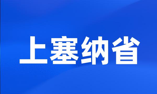 上塞纳省