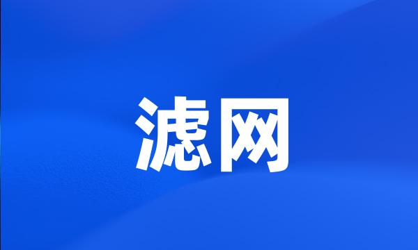 滤网