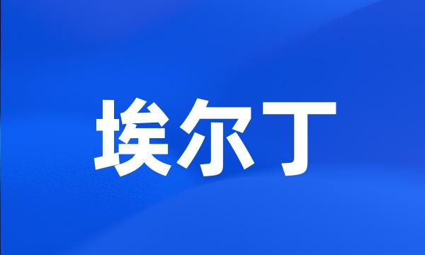 埃尔丁