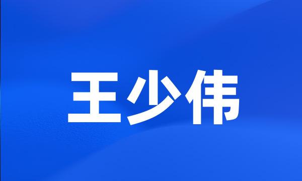 王少伟