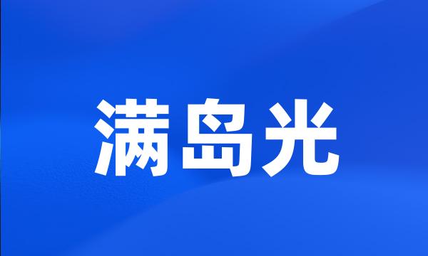 满岛光