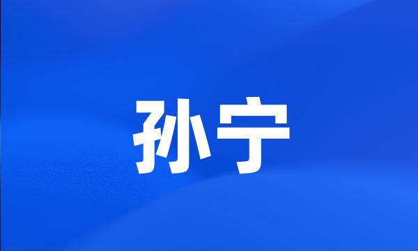 孙宁