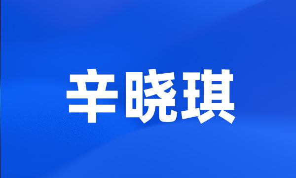 辛晓琪