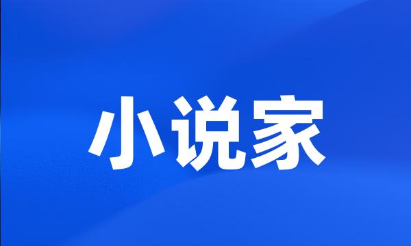 小说家