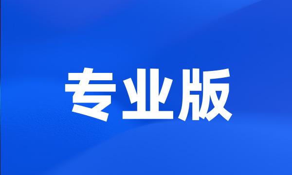 专业版