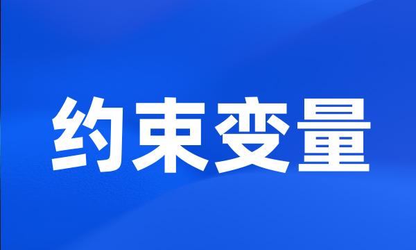 约束变量