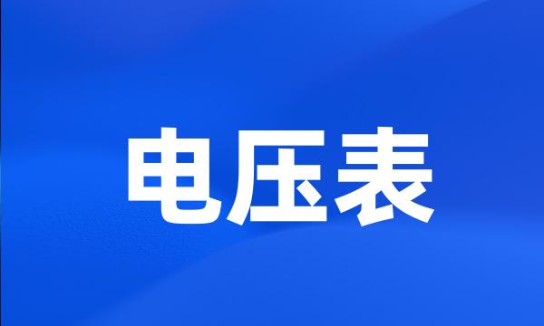 电压表