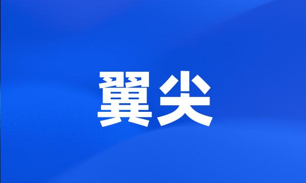 翼尖