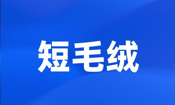 短毛绒