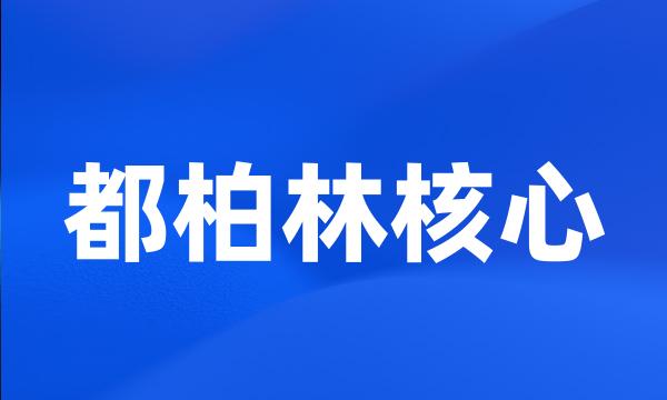 都柏林核心