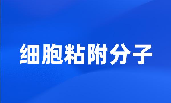 细胞粘附分子