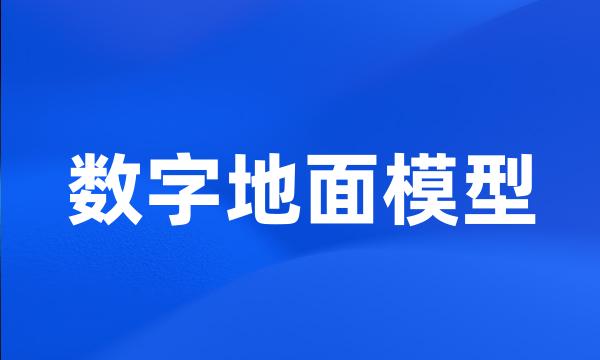 数字地面模型