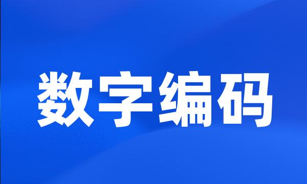 数字编码