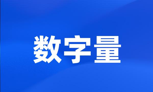 数字量