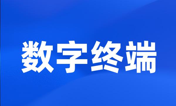 数字终端