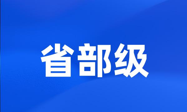 省部级