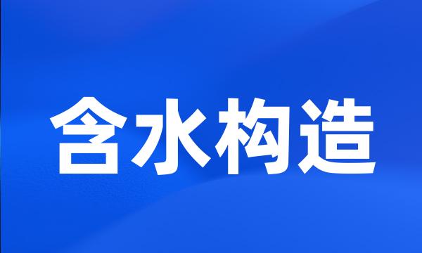 含水构造