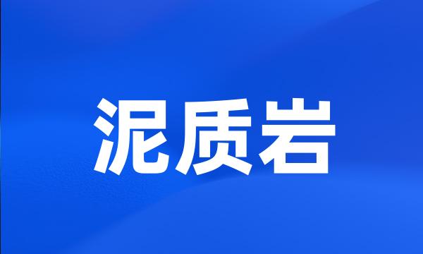 泥质岩